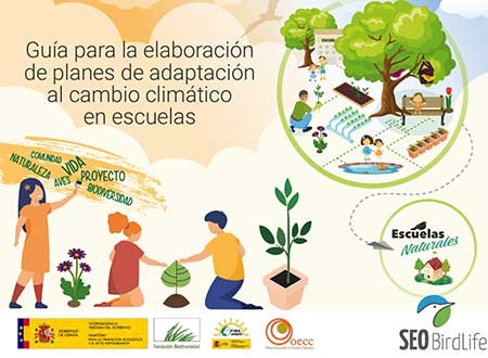 Publicaciones. Consorcio Provincial de Medio Ambiente de Albacete