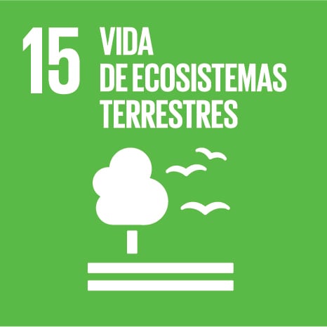 ODS. Consorcio Provincial de Medio Ambiente de Albacete
